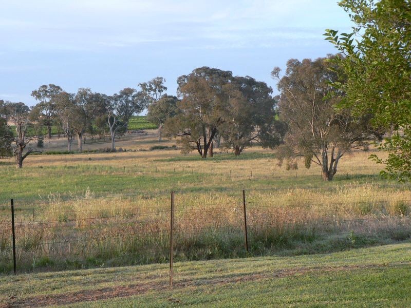 Lot 3 Moppity Rd, Young NSW 2594