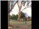 Lot 3 Moppity Rd, Young NSW 2594