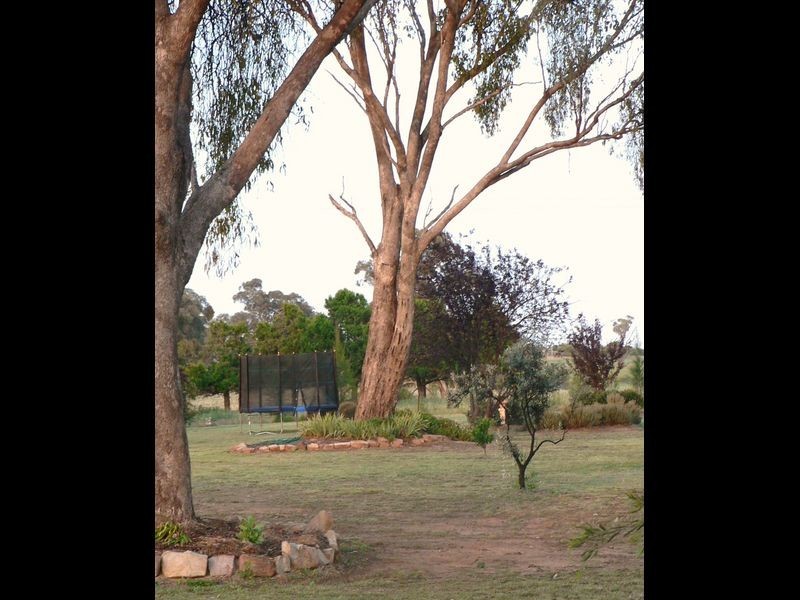 Lot 3 Moppity Rd, Young NSW 2594