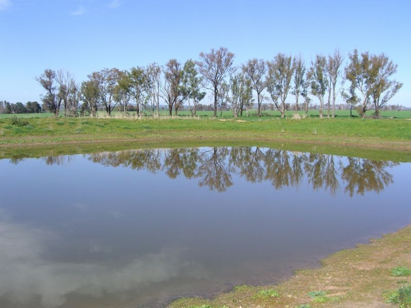 Lot 2 Moppity Rd, Young NSW 2594