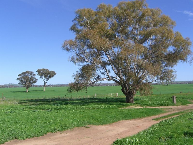 Lot 2 Moppity Rd, Young NSW 2594