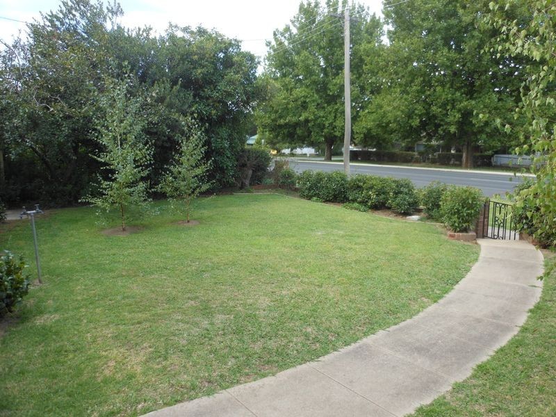 41 Wombat St, Young NSW 2594