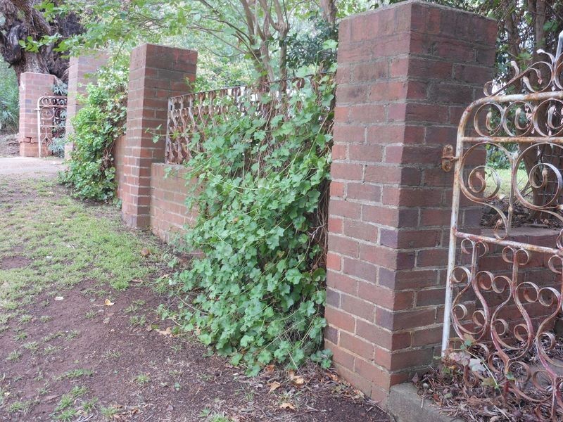 115 Edwards Street, Young NSW 2594