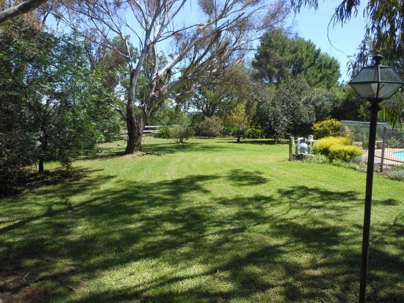 684 Maimuru S.S Rd, Young NSW 2594