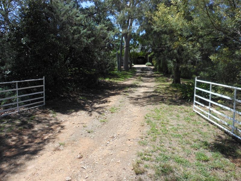 684 Maimuru S.S Rd, Young NSW 2594