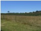 684 Maimuru S.S Rd, Young NSW 2594