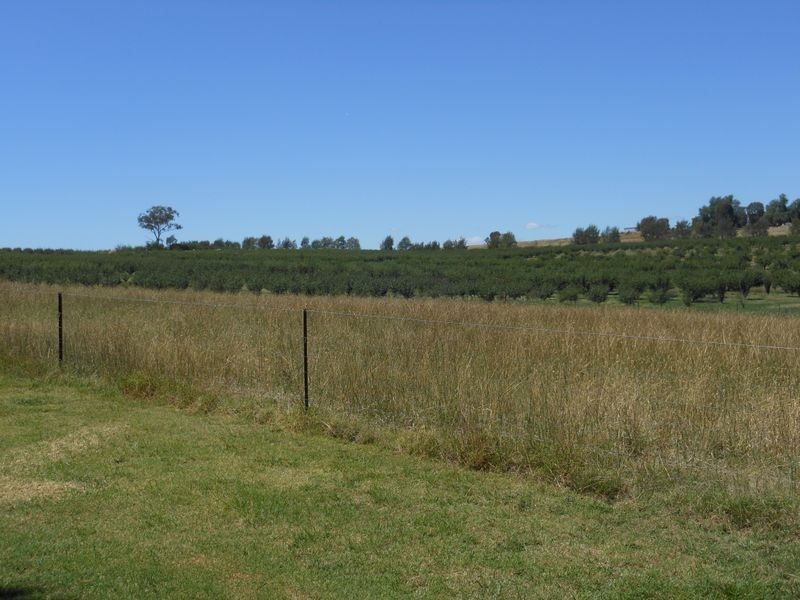 684 Maimuru S.S Rd, Young NSW 2594
