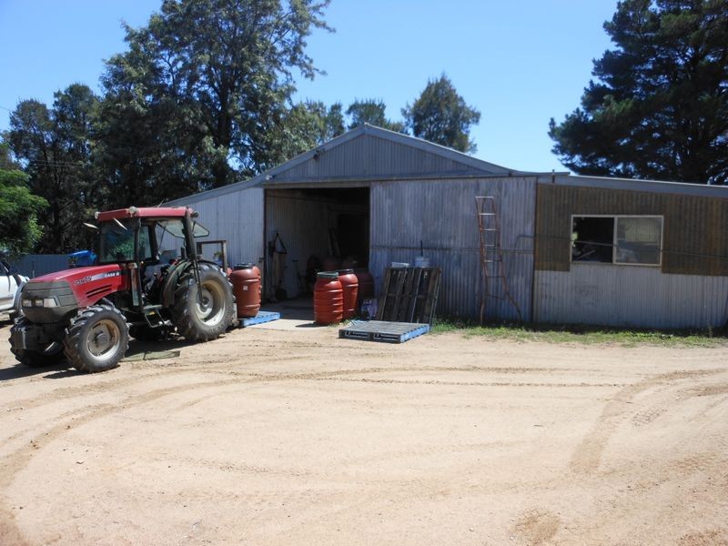 684 Maimuru S.S Rd, Young NSW 2594