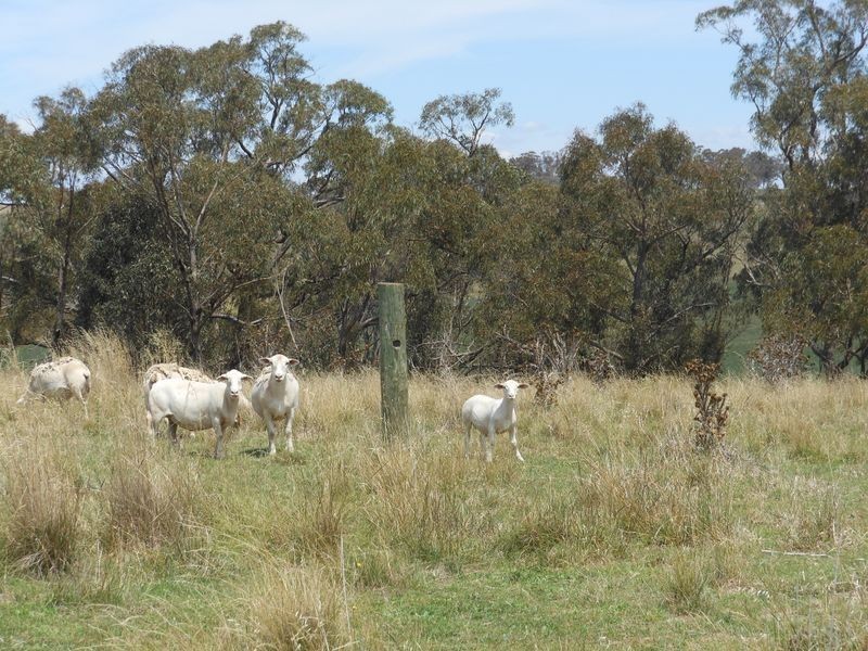 12 Colorado Road, Young NSW 2594