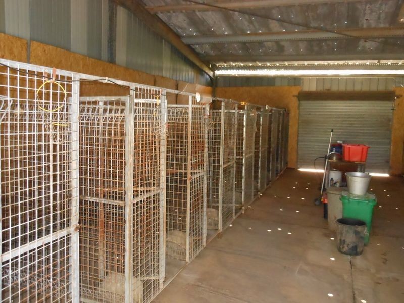 12 Colorado Road, Young NSW 2594