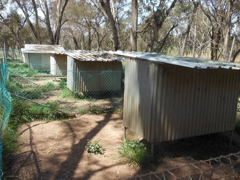 12 Colorado Road, Young NSW 2594