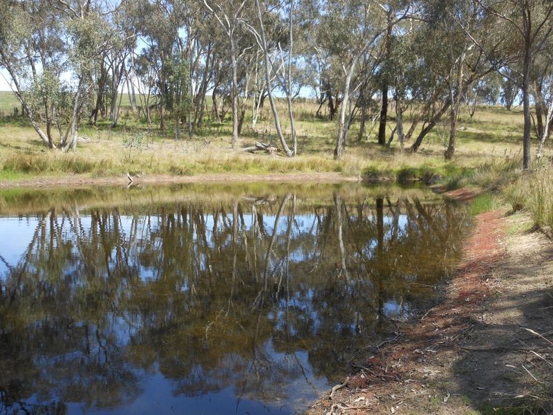 12 Colorado Road, Young NSW 2594