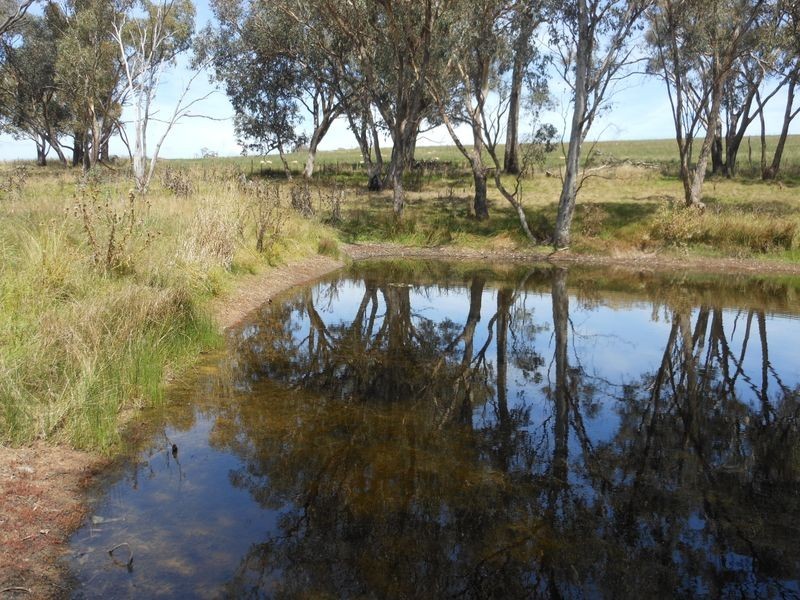 12 Colorado Road, Young NSW 2594