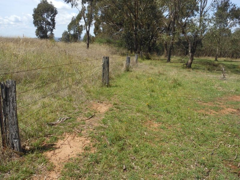 12 Colorado Road, Young NSW 2594