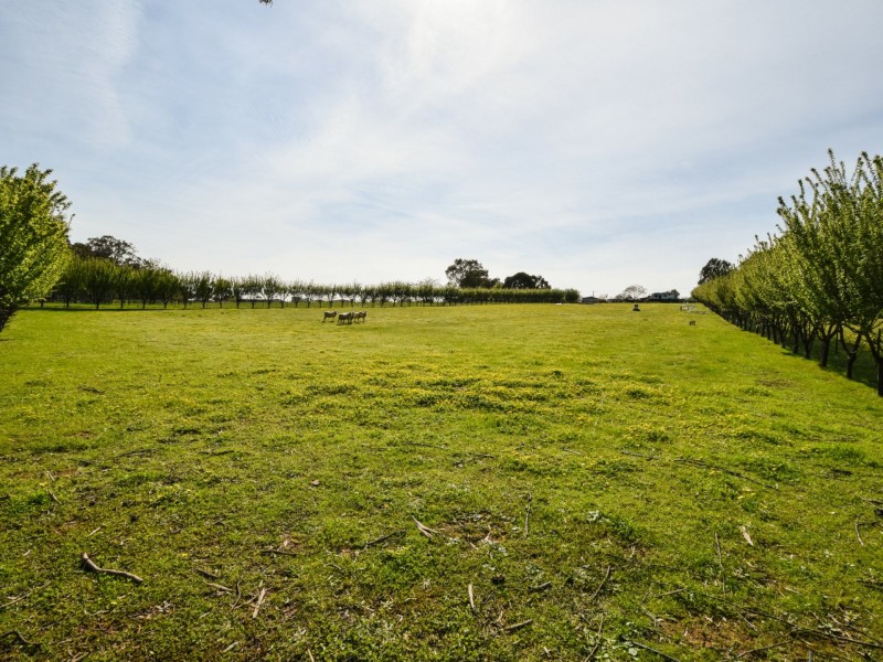 88 Willawong Street, Young NSW 2594