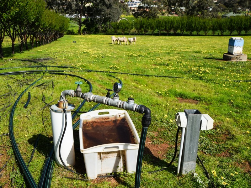 88 Willawong Street, Young NSW 2594