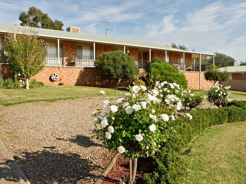 79 Binalong Street, Young NSW 2594