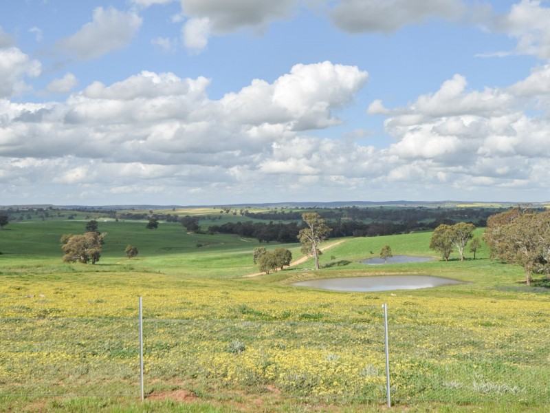 24 Bonnie Doon Road (Prunevale), Young NSW 2594