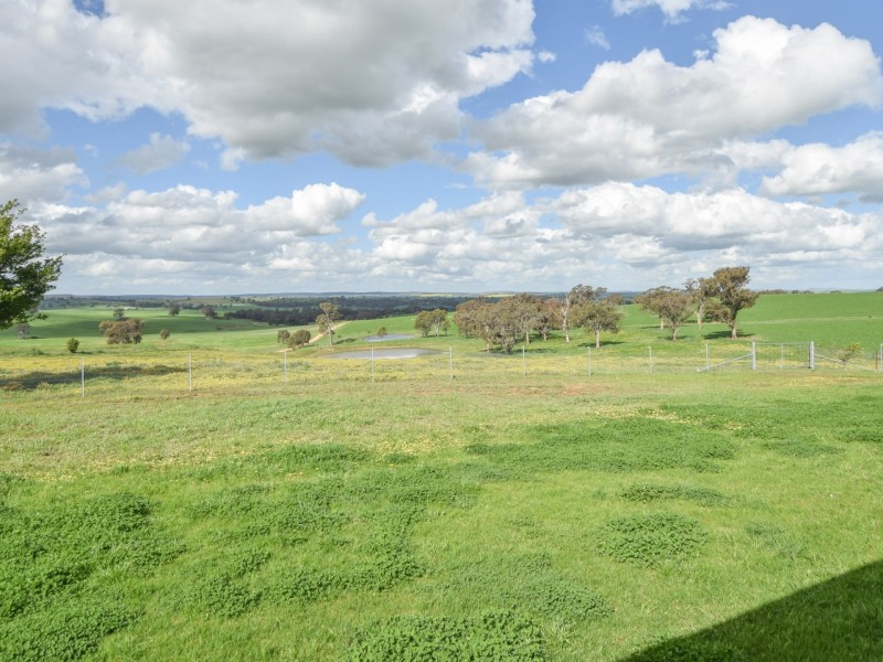 24 Bonnie Doon Road (Prunevale), Young NSW 2594