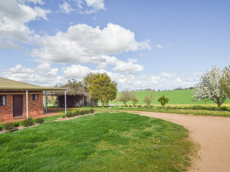 24 Bonnie Doon Road (Prunevale), Young NSW 2594