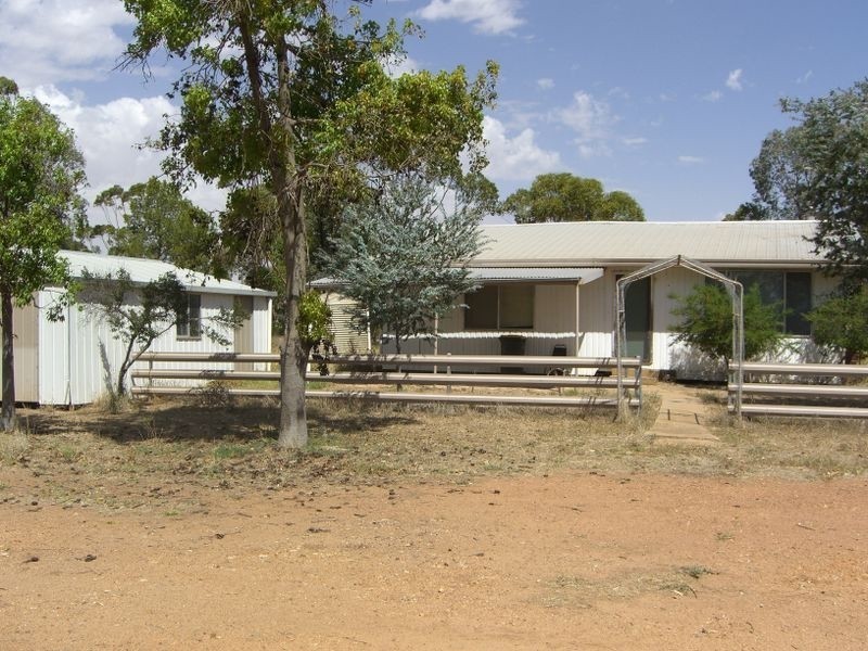 Murkadell Moonbuucca Road Bribbaree, Young NSW 2594