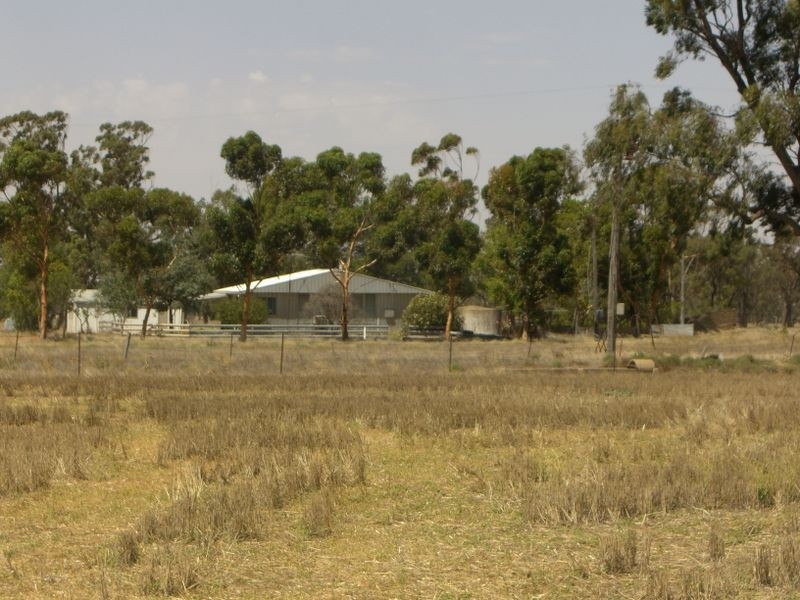 Murkadell Moonbuucca Road Bribbaree, Young NSW 2594