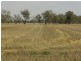 Murkadell Moonbuucca Road Bribbaree, Young NSW 2594