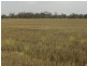 Murkadell Moonbuucca Road Bribbaree, Young NSW 2594