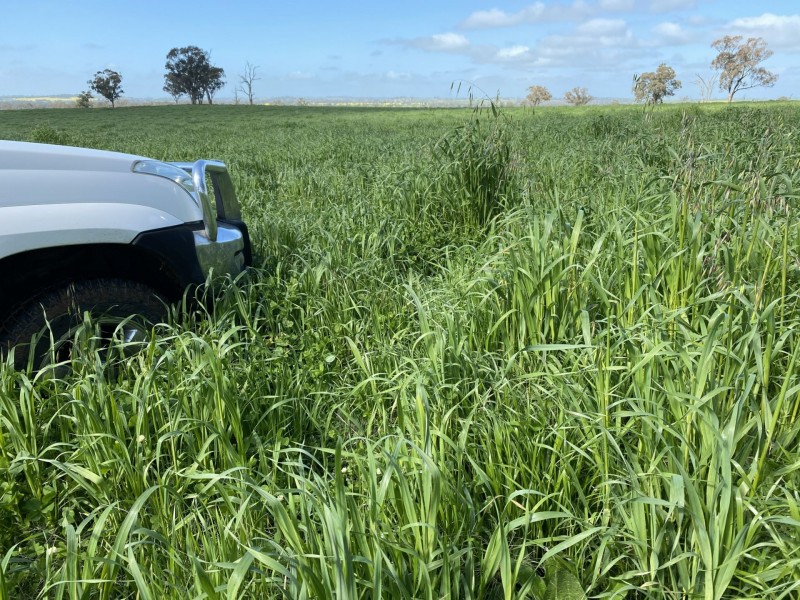 404 Ballards Lane, Thuddungra NSW 2594