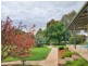 150 Rowans Lane, Bendick Murrell NSW 2803