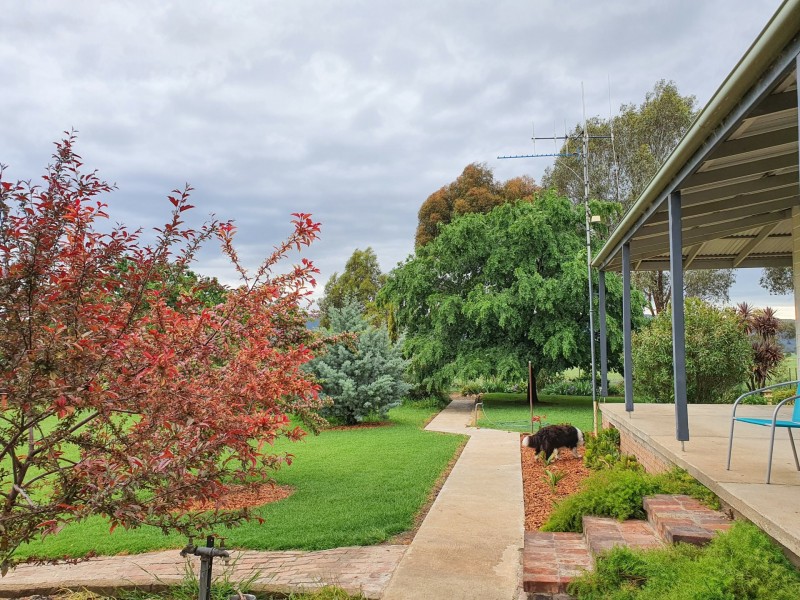 150 Rowans Lane, Bendick Murrell NSW 2803