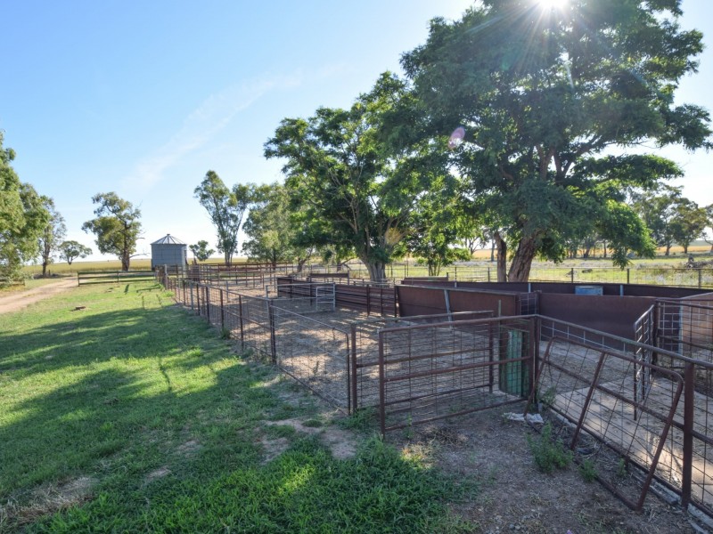 150 Rowans Lane, Bendick Murrell NSW 2803