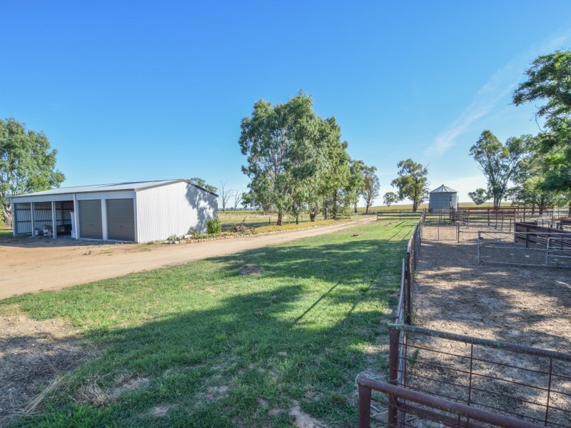 150 Rowans Lane, Bendick Murrell NSW 2803