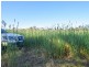 150 Rowans Lane, Bendick Murrell NSW 2803
