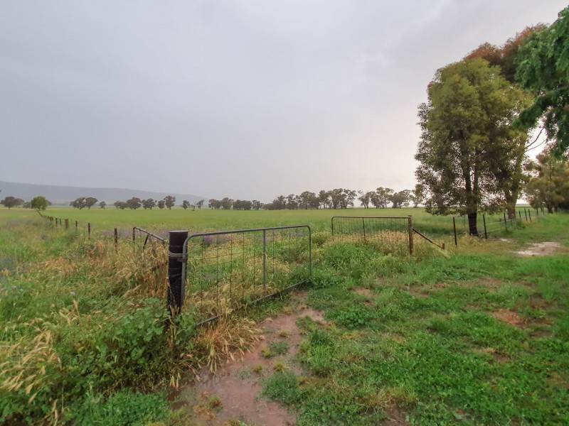 150 Rowans Lane, Bendick Murrell NSW 2803