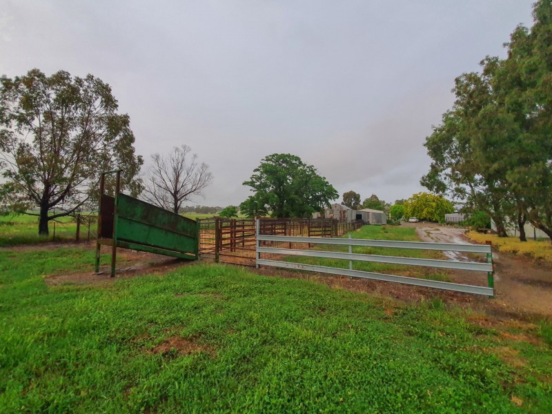 150 Rowans Lane, Bendick Murrell NSW 2803