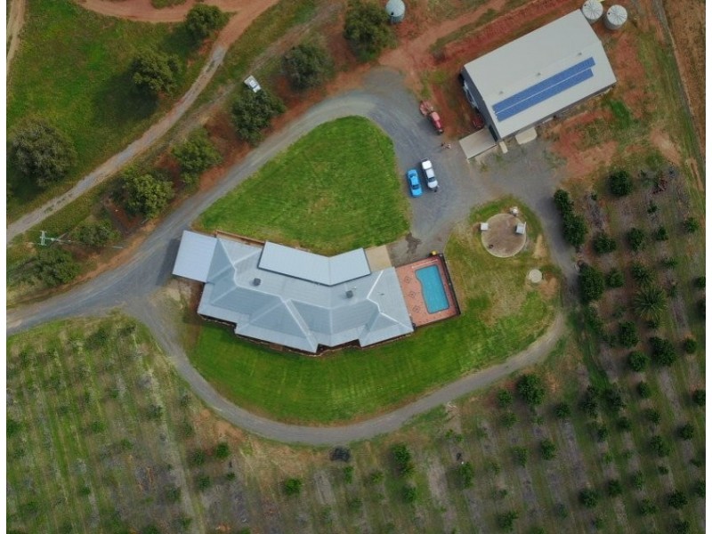 1249 Scenic Road, Young NSW 2594