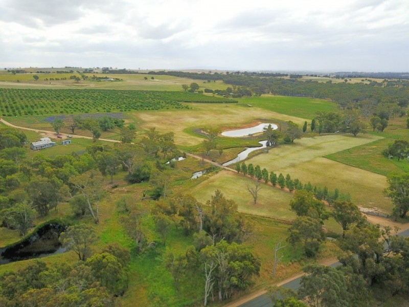 1249 Scenic Road, Young NSW 2594