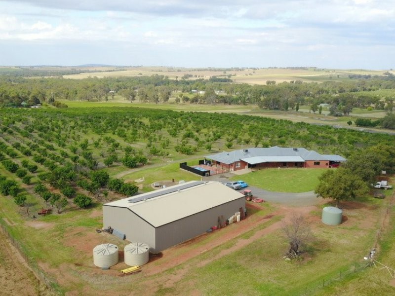 1249 Scenic Road, Young NSW 2594
