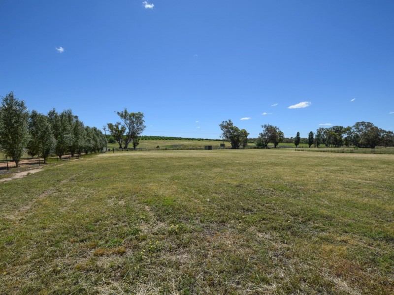 1249 Scenic Road, Young NSW 2594