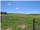 1249 Scenic Road, Young NSW 2594