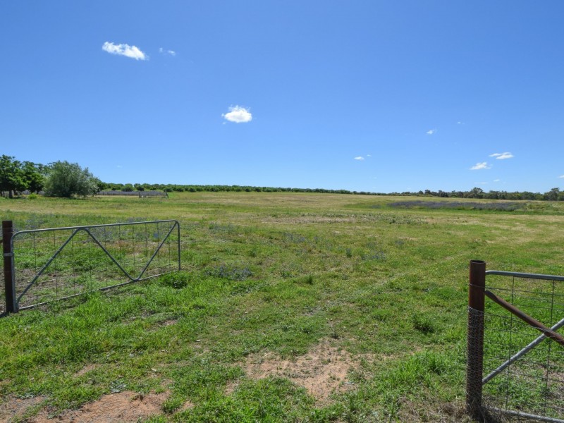 1249 Scenic Road, Young NSW 2594