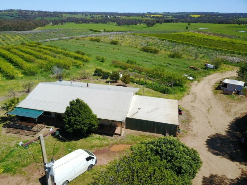 175 Wombat Creek Road, Young NSW 2594