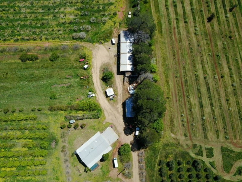 175 Wombat Creek Road, Young NSW 2594