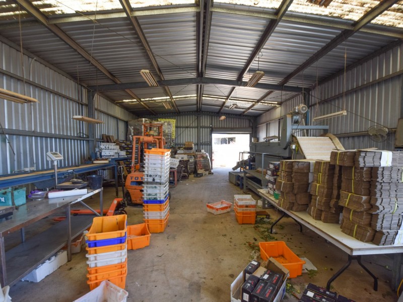 175 Wombat Creek Road, Young NSW 2594