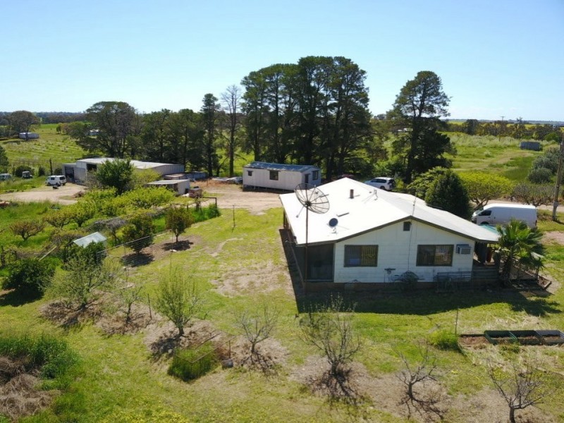 175 Wombat Creek Road, Young NSW 2594