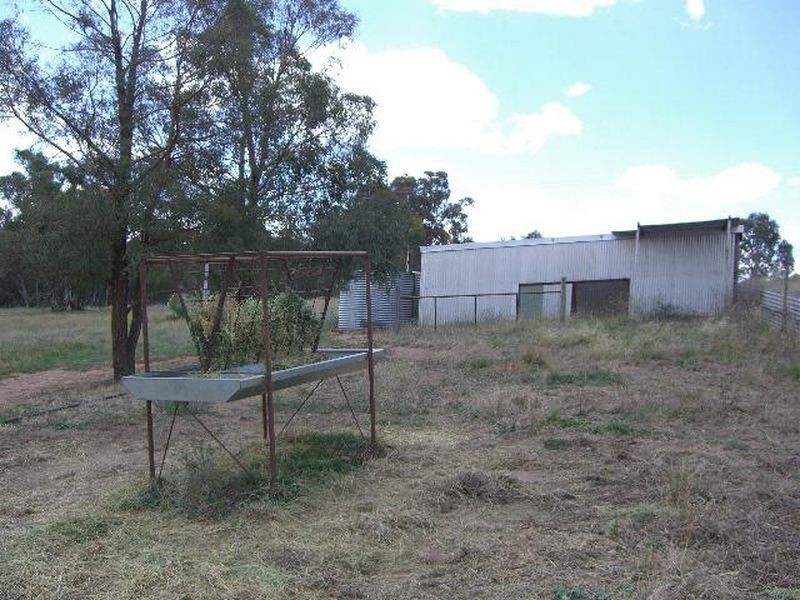 50 Donges Road, Young NSW 2594