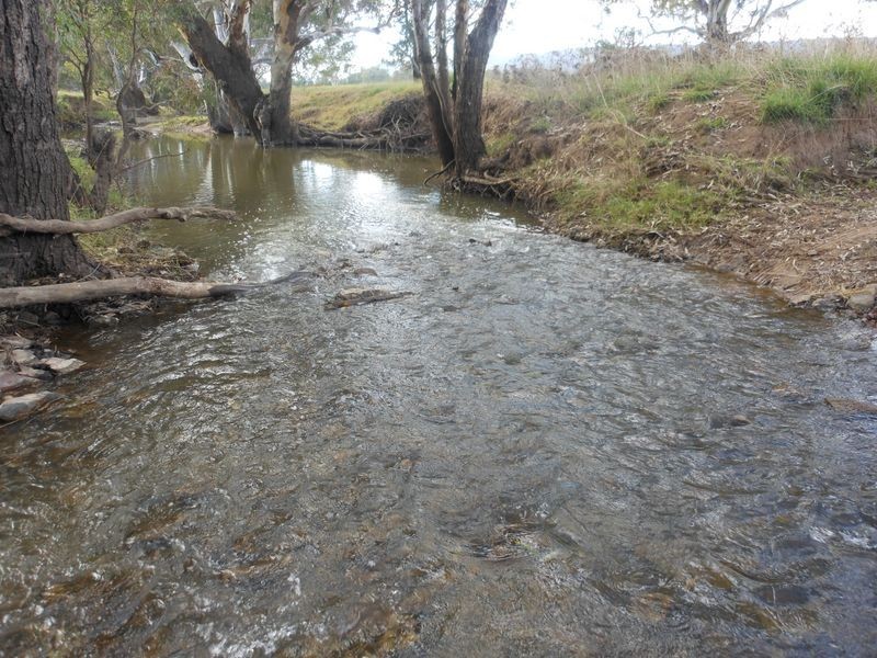 3680 Scenic Rd, Young NSW 2594