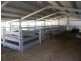 3680 Scenic Rd, Young NSW 2594