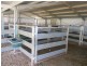 3680 Scenic Rd, Young NSW 2594
